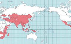 世界68ヵ国での業務実績