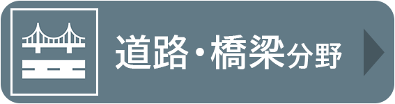 道路分野