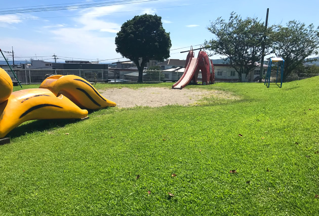 現地調査（枕崎市）