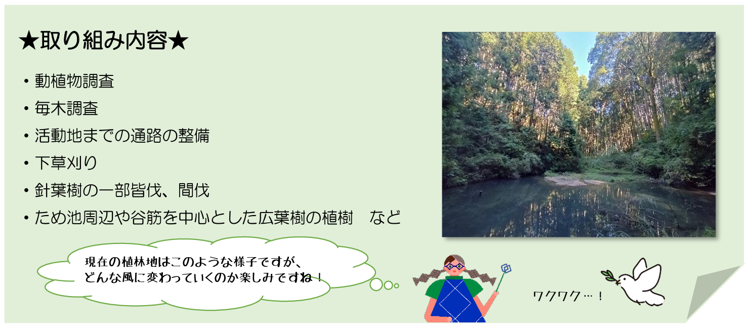 取り組み内容