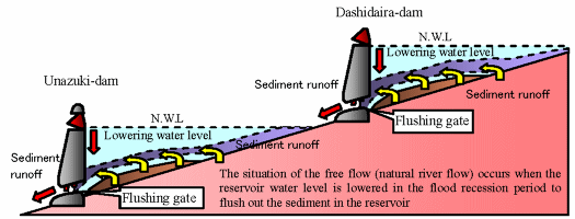 Outline of Sediment Flushing by Concerted Operations of Serial Dams