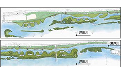 Water environment improvements through Ashida River vegetation zone (Hiroshima Prefecture)