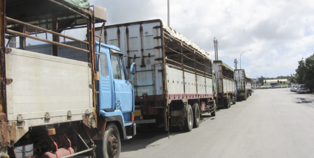 Freight overflowing from the wharf site